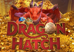 Dragon Hatch